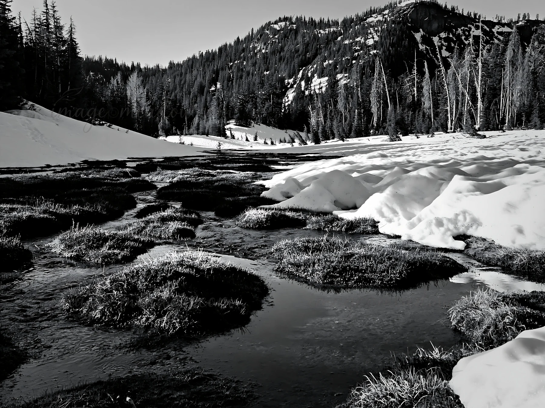 Snowmelt in a meadow fills small streams and forms patches of grass. The scene shows the landscape in black and white, capturing natural elements in a mountaino