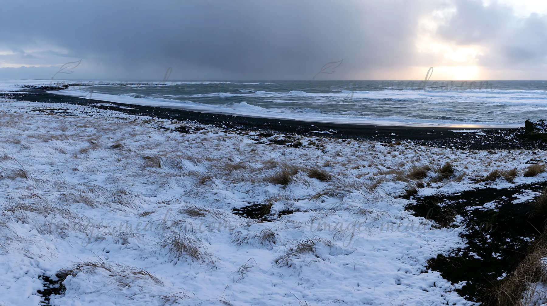 A snowy beach meadow is seen with tall grass and dark sand. The ocean waves crash along the shore under a cloudy sky. The scene captures a winter environment by
