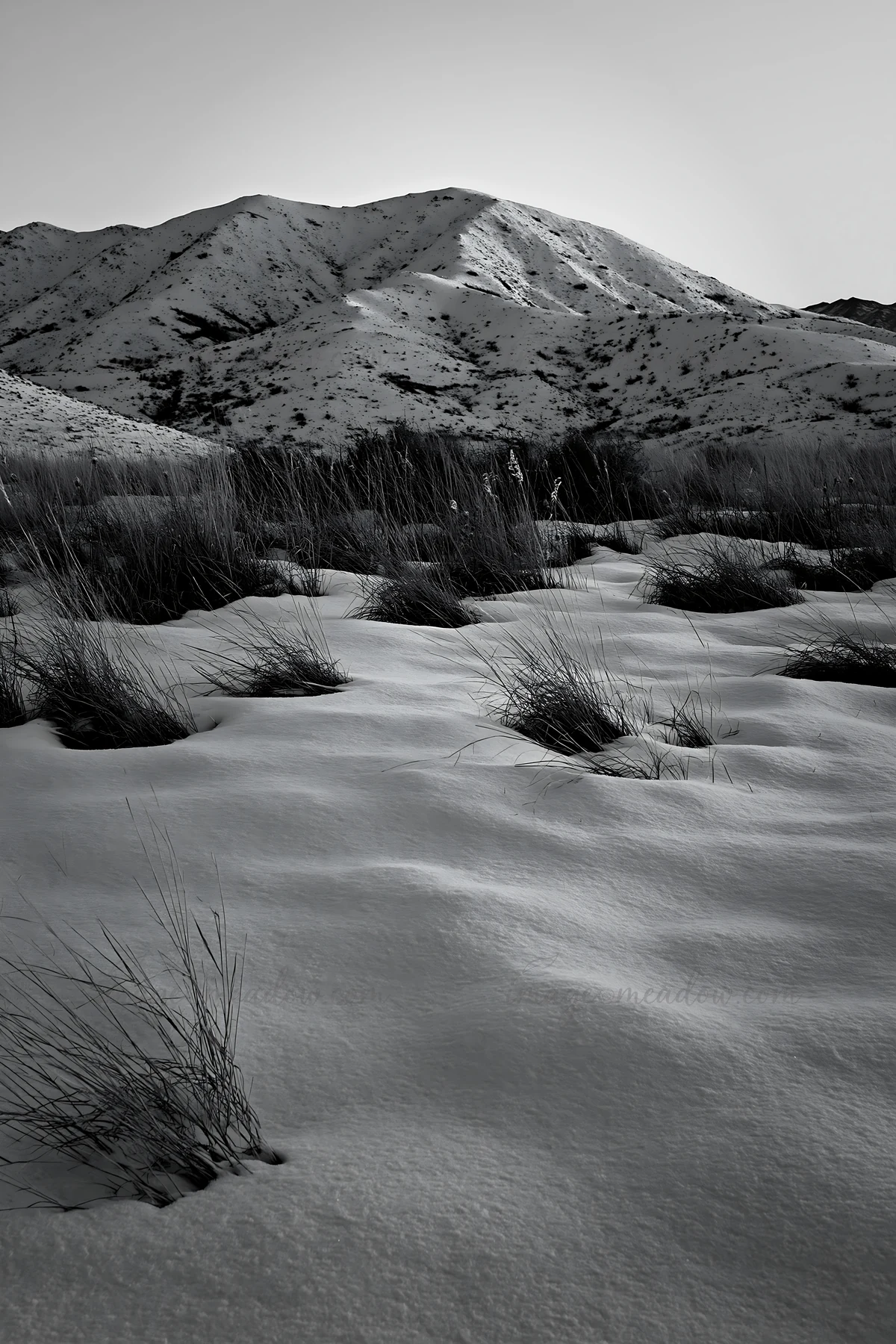 A snowy meadow with tufts of grass stretches across a hillside. In the background, rugged mountains rise against a setting sun, casting soft colors across the s