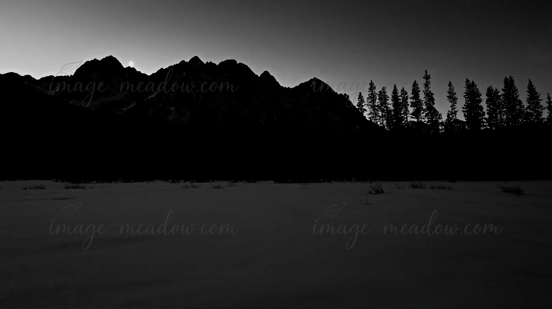 A snowy meadow in Rocky Mountain Park is seen during dusk. Tall trees frame the area, with mountains rising in the background under a twilight sky. Presented as