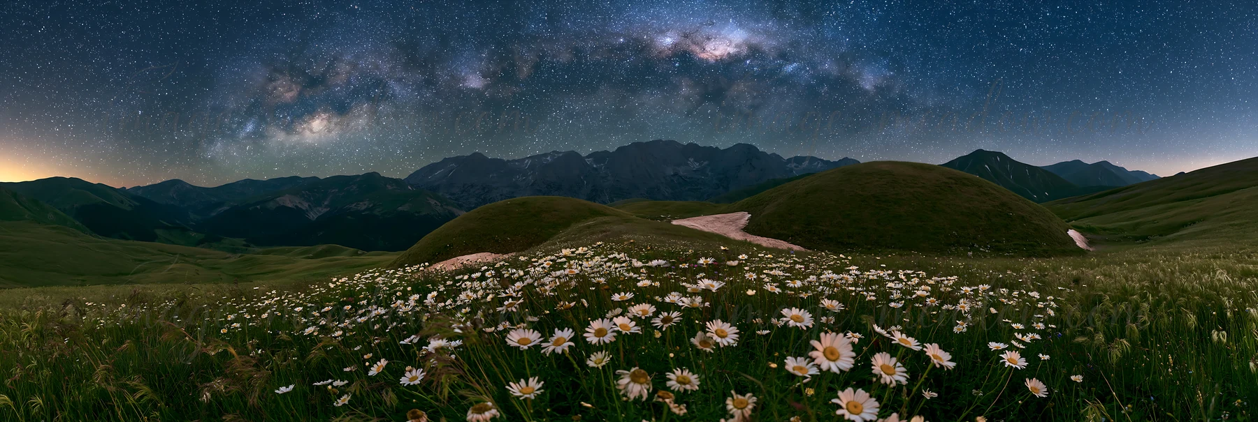 A starlit meadow features wildflowers in the foreground, with a broad view of the night sky filled with stars and the Milky Way above. Rolling hills are visible