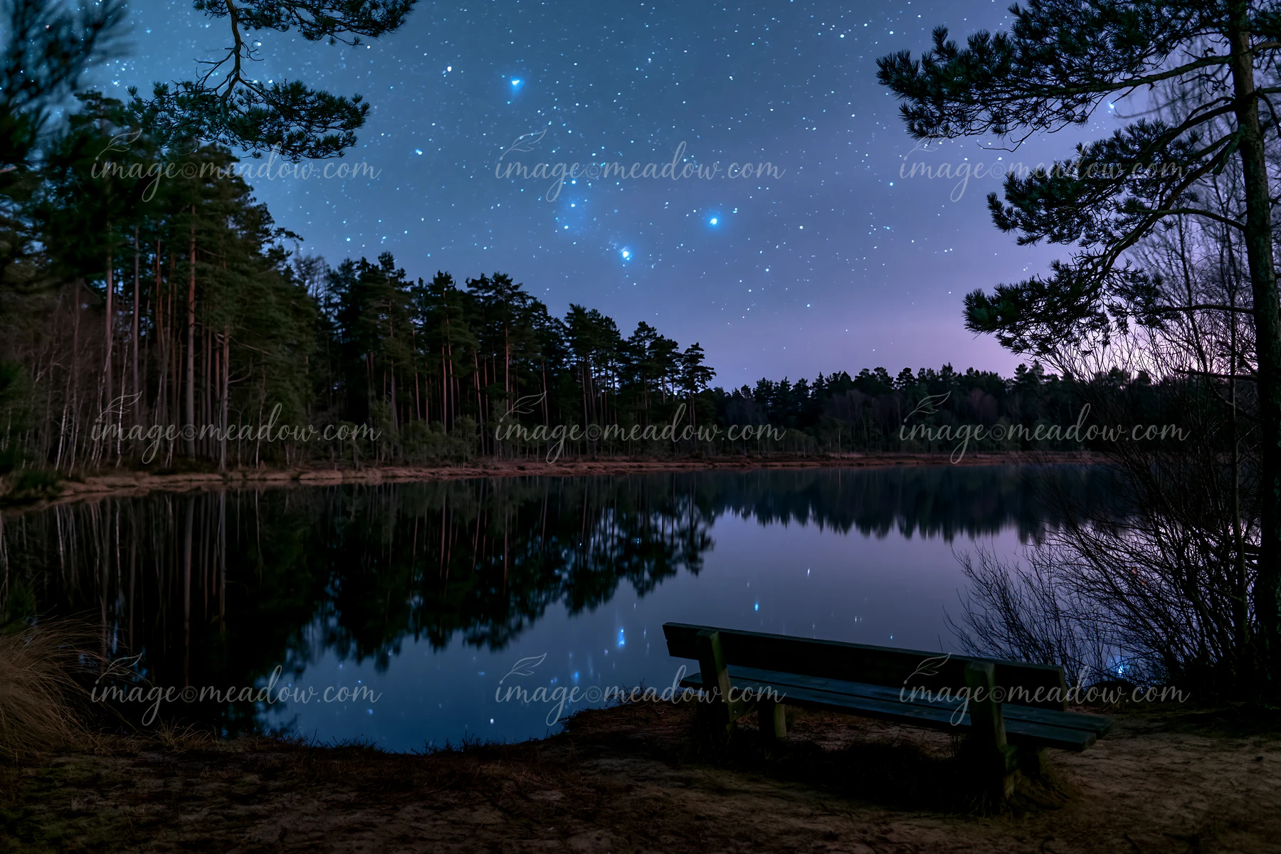 Stars fill the night sky above a dark pine forest by a calm lake.
