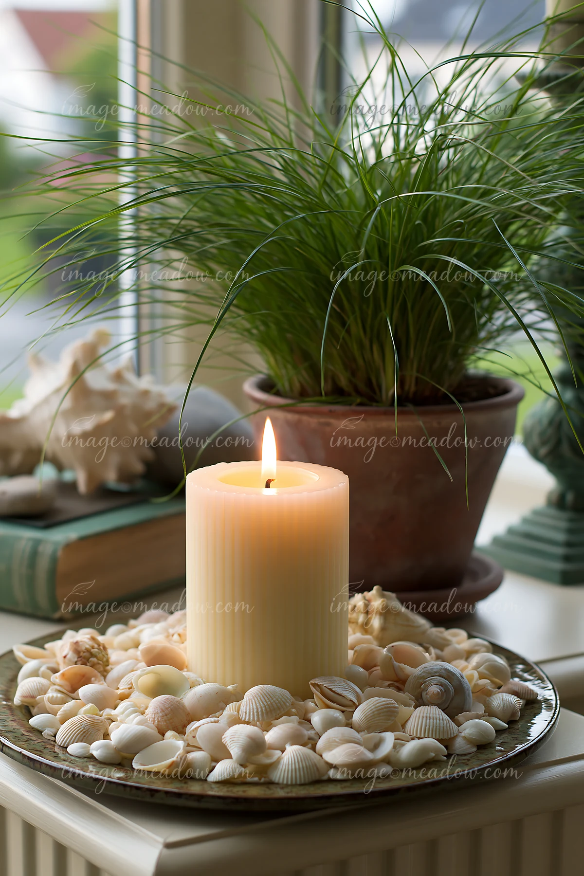 Sunbeams over a misty meadow are reflected in a candle placed on a tray of shells near a green plant.