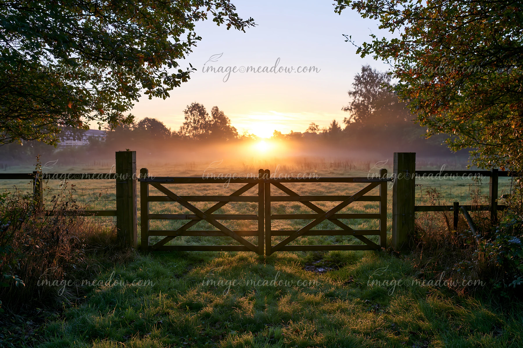 Sunbeams over a misty meadow shine through a wooden gate at dawn.