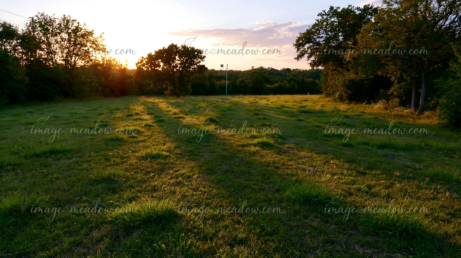 The sun sets over a meadow recovering after mowing, casting long shadows on the grass.
