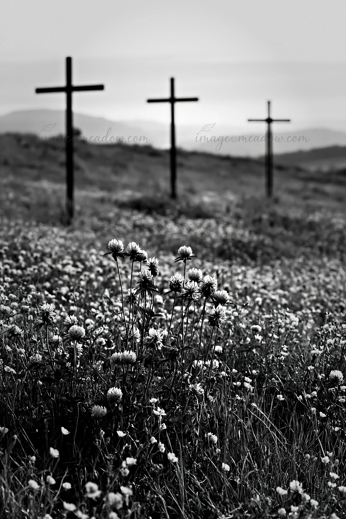 Three iron crosses stand in a meadow filled with small flowers. The scene shows a distant landscape under a cloudy sky. The meadow is lush with grass and blooms