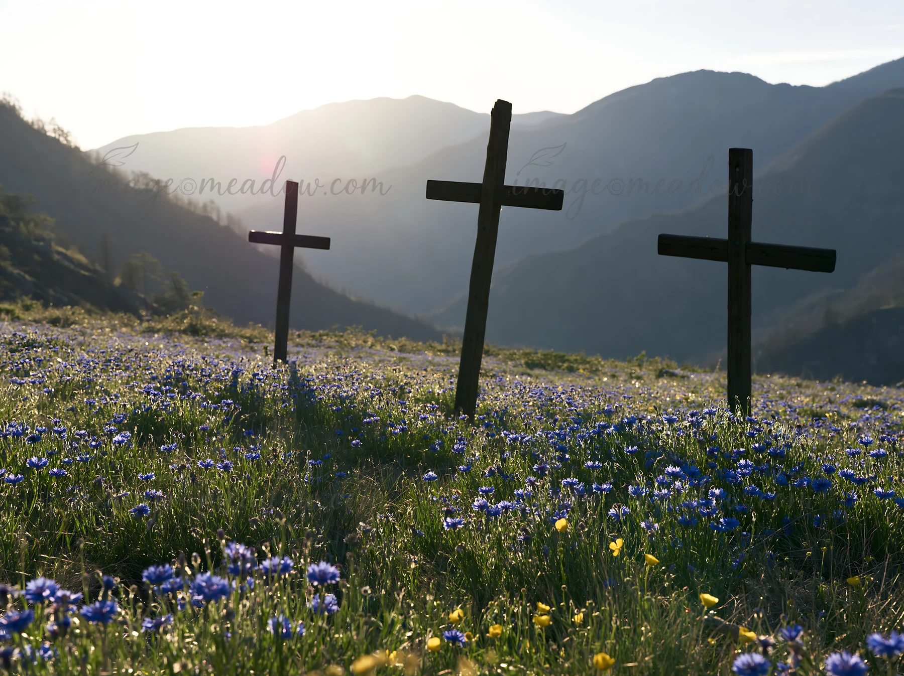 Three wooden crosses stand in a meadow filled with flowers during Christmas. The sun sets behind the mountains, creating a backlight effect that highlights the