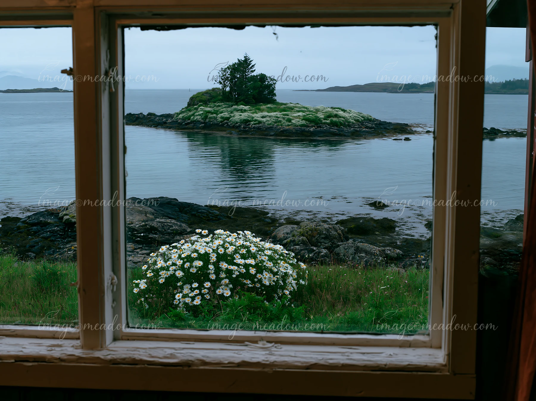 Through a window, a view shows an island with flowers in a calm bay.