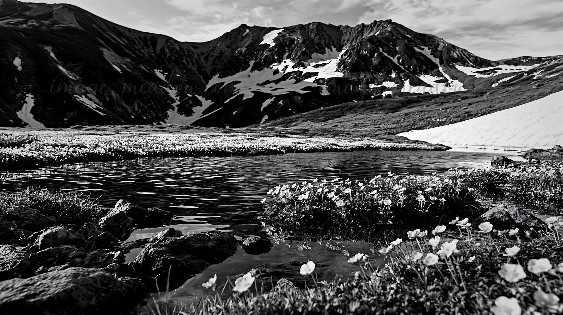 A snowmelt stream flows through a meadow filled with yellow flowers. The mountains rise in the background under a clear blue sky. Presented as a premium high-co