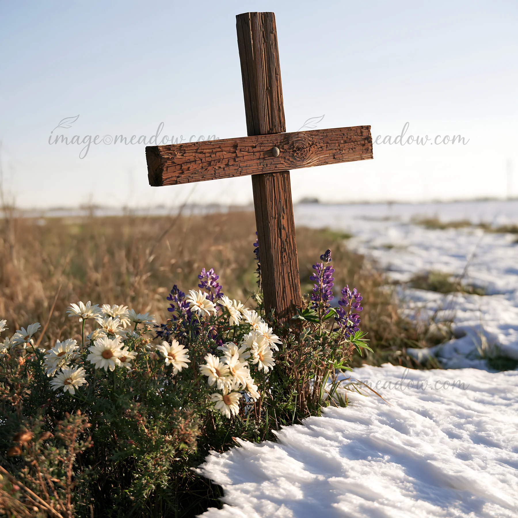 A weathered Christian cross stands in a snowy meadow. Flowers bloom around the base, contrasting with the white snow. The scene captures the essence of nature a