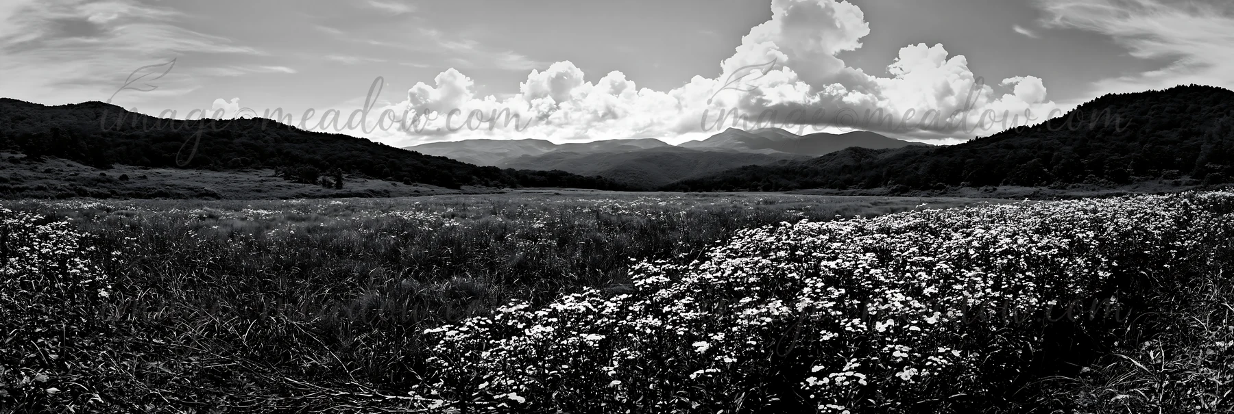 A fallen branch is visible in the foreground of a meadow in Yamagata. The scene features tall grass and wildflowers under a bright sky with clouds and mountains