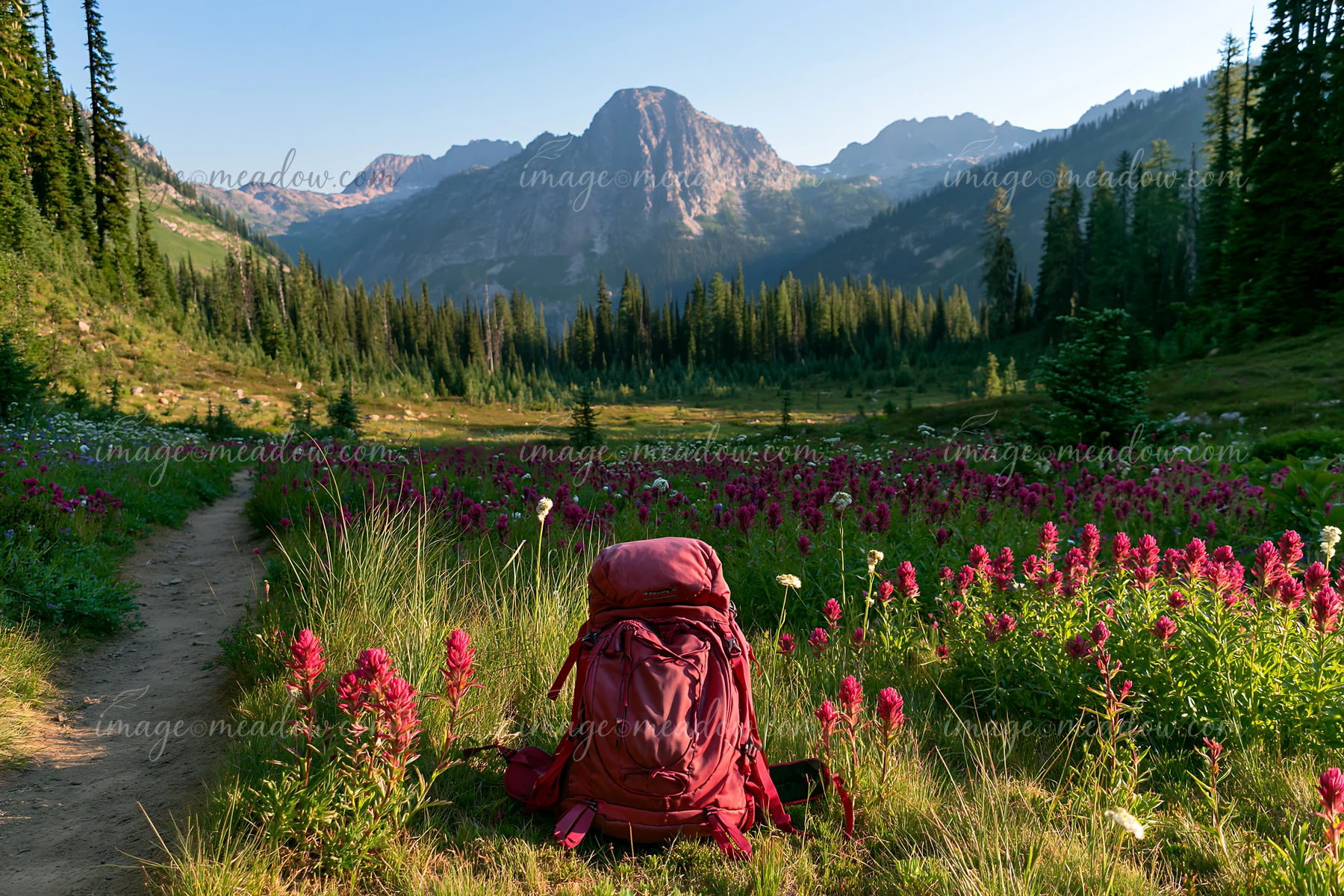 A backpack sits on a trail surrounded by a wildflower meadow below rocky peaks.