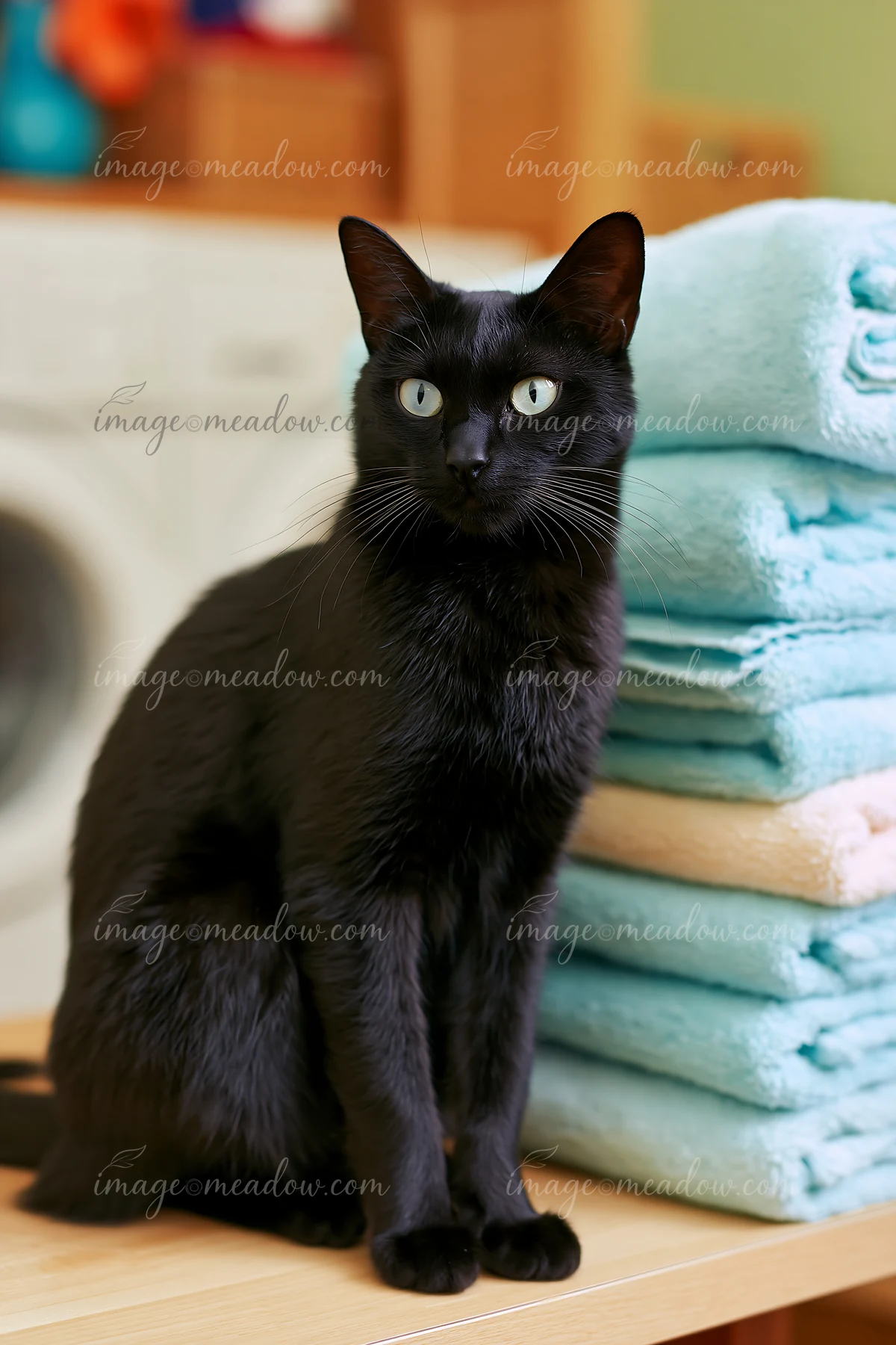 A black cat sits next to neatly stacked towels in light blue, with a washing machine in the background.
