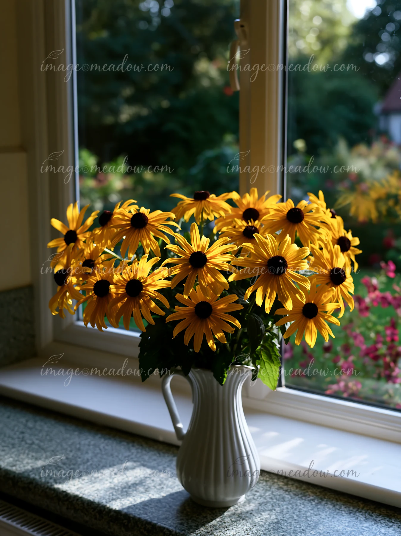 A bouquet of rudbeckia flowers in sunlight sits in a white vase on a window sill.