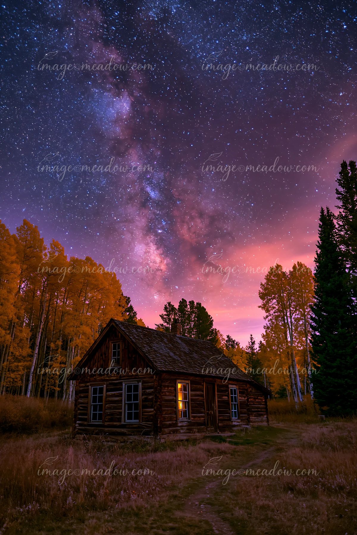 A cabin in a valley under stars sits among trees with a clear night sky filled with stars.