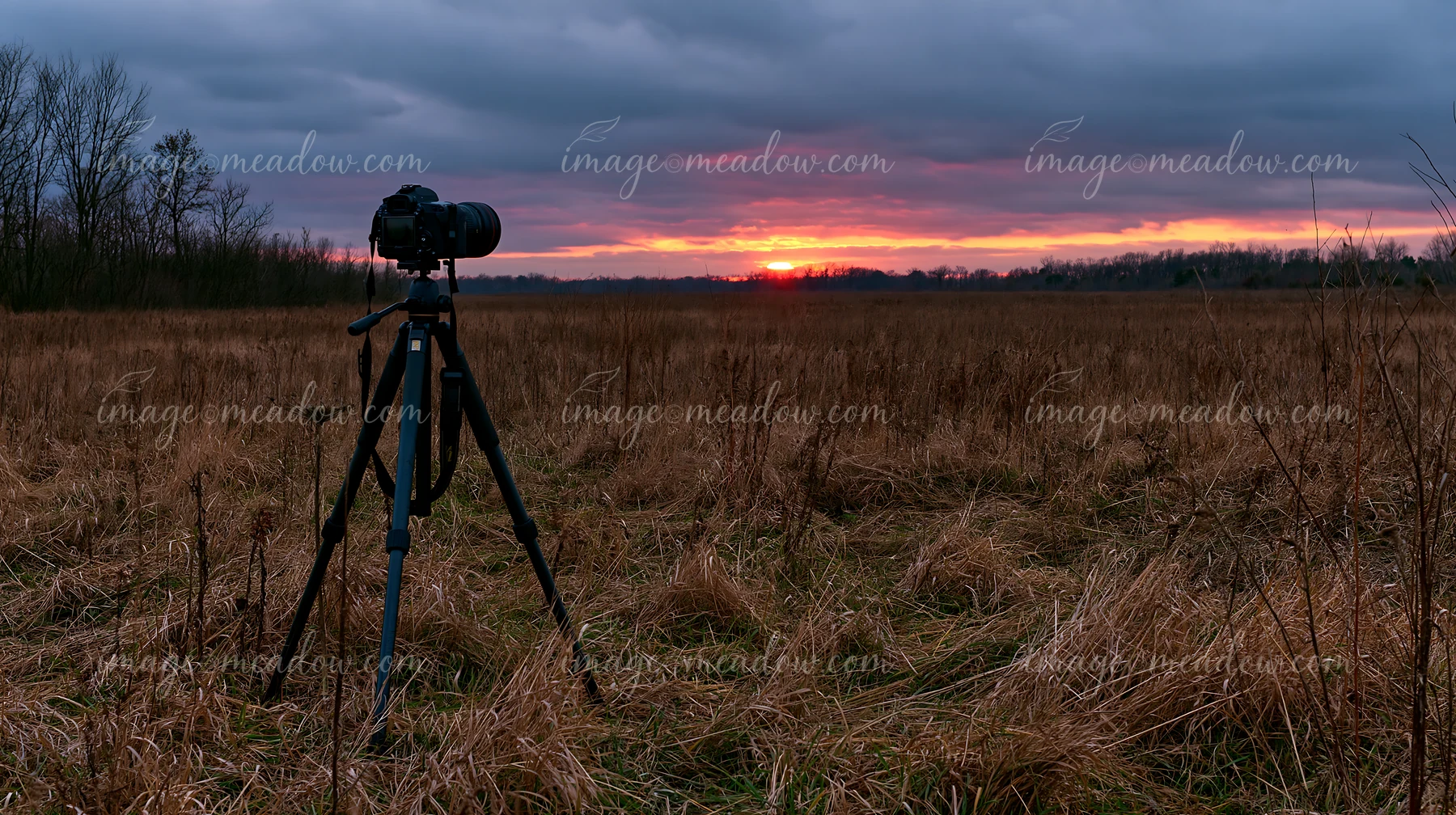 A camera is set up on a tripod in a meadow during sunset.