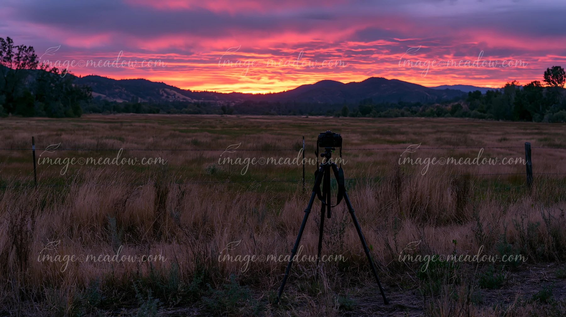 A camera on a tripod faces a wide meadow during sunset, capturing the vibrant colors in the sky.