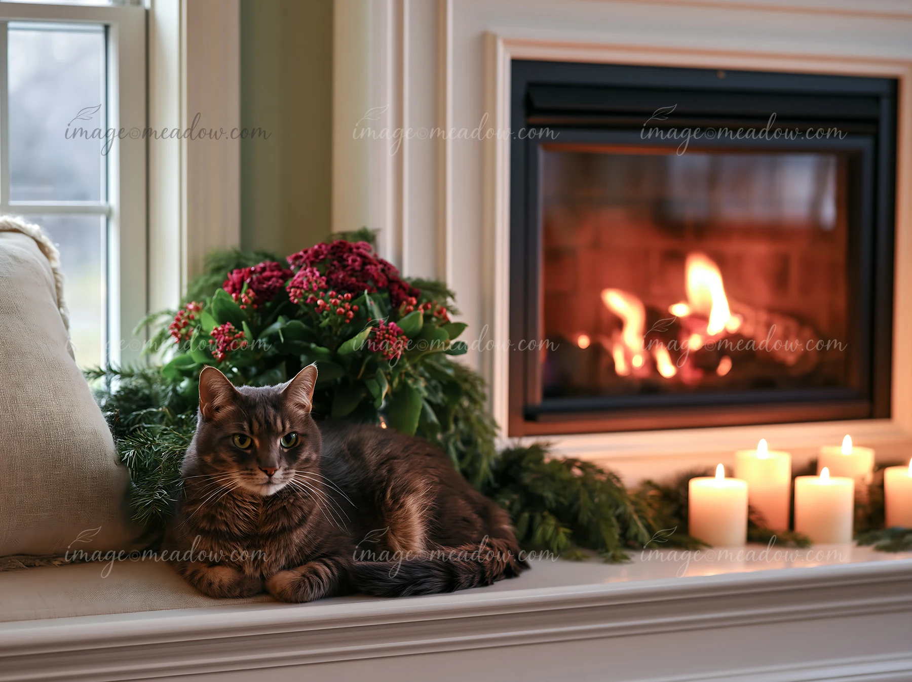 A cat rests on the ledge next to an open fireplace in a Christmas living room.