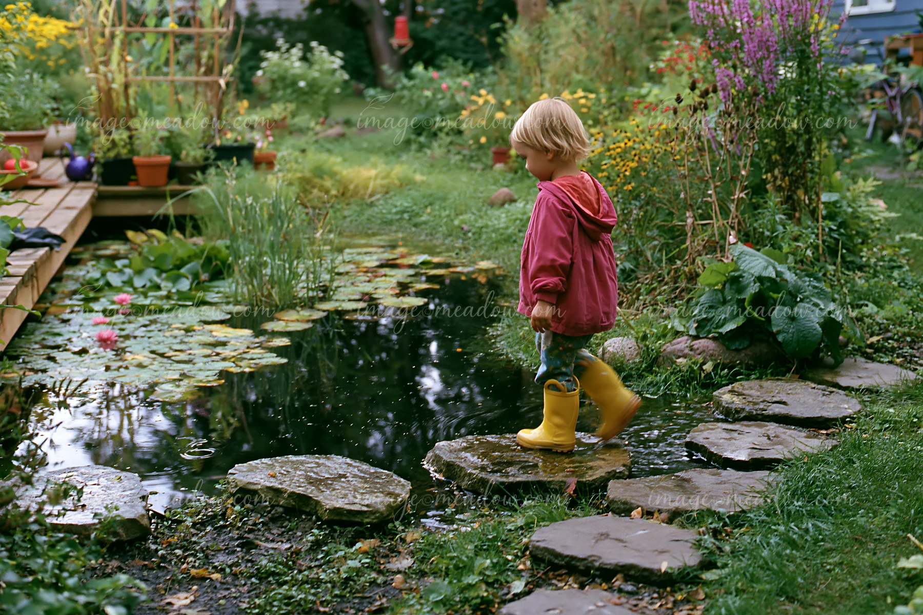 A child in yellow boots crosses stepping stones over a small pond surrounded by plants and flowers.