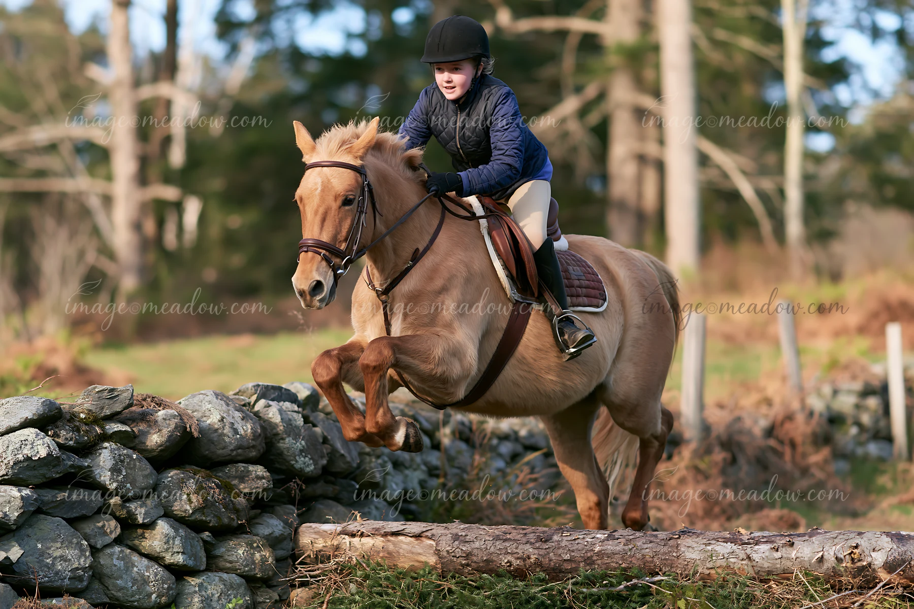 A child rides a horse that jumps over a log in a forested area.