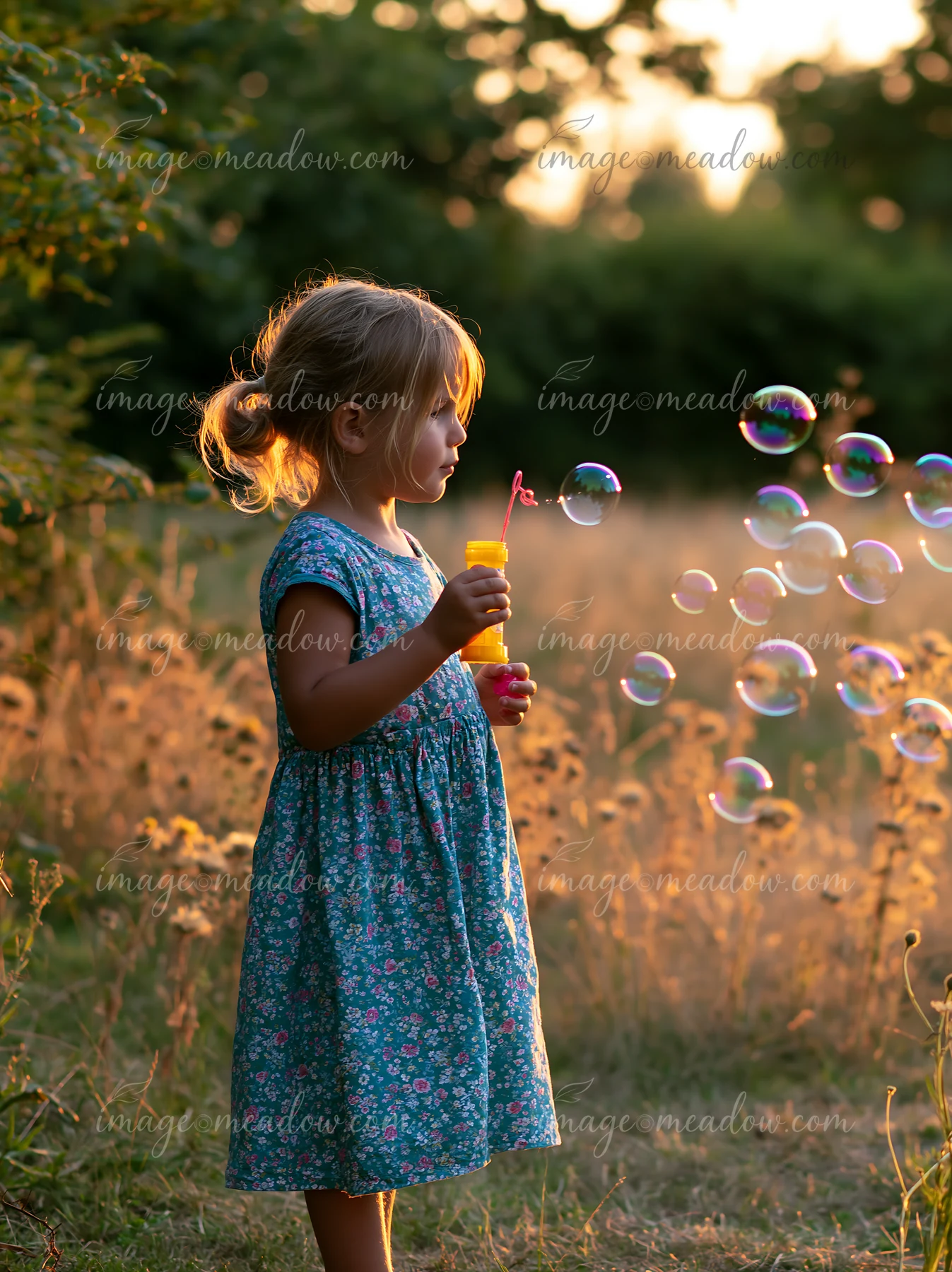 A child stands in a meadow surrounded by hedgerows, blowing bubbles with a yellow wand as the sun sets.