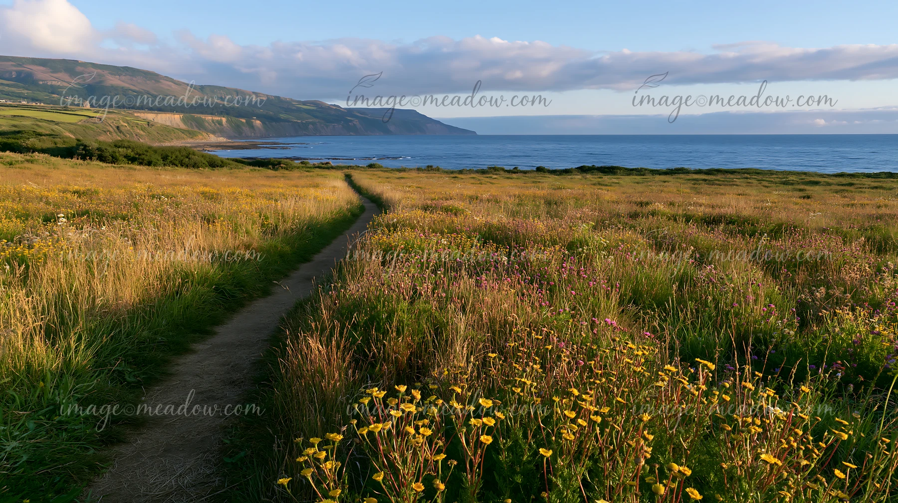 A coastal meadow overlooking the ocean with a winding path and colorful wildflowers.
