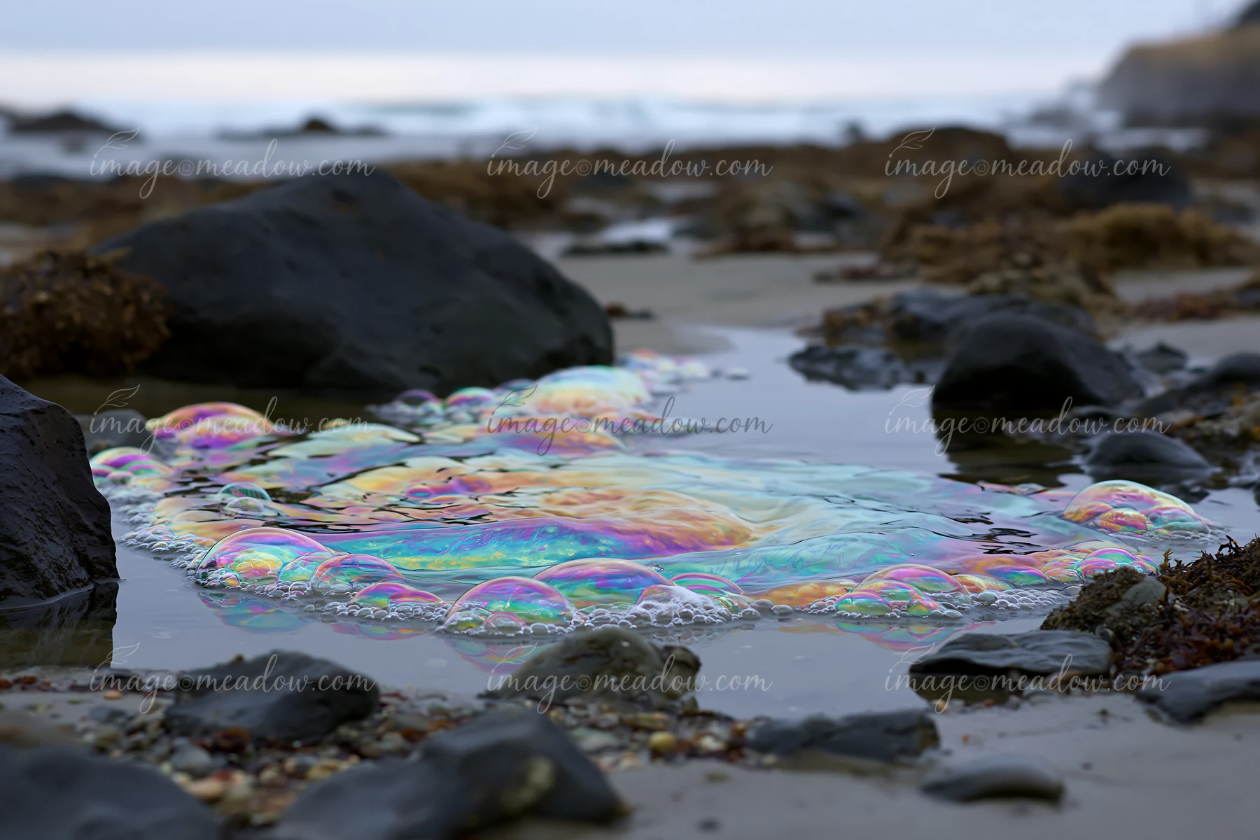 A colorful display of iridescent bubble foam spiral forms on a rocky shoreline during low tide.