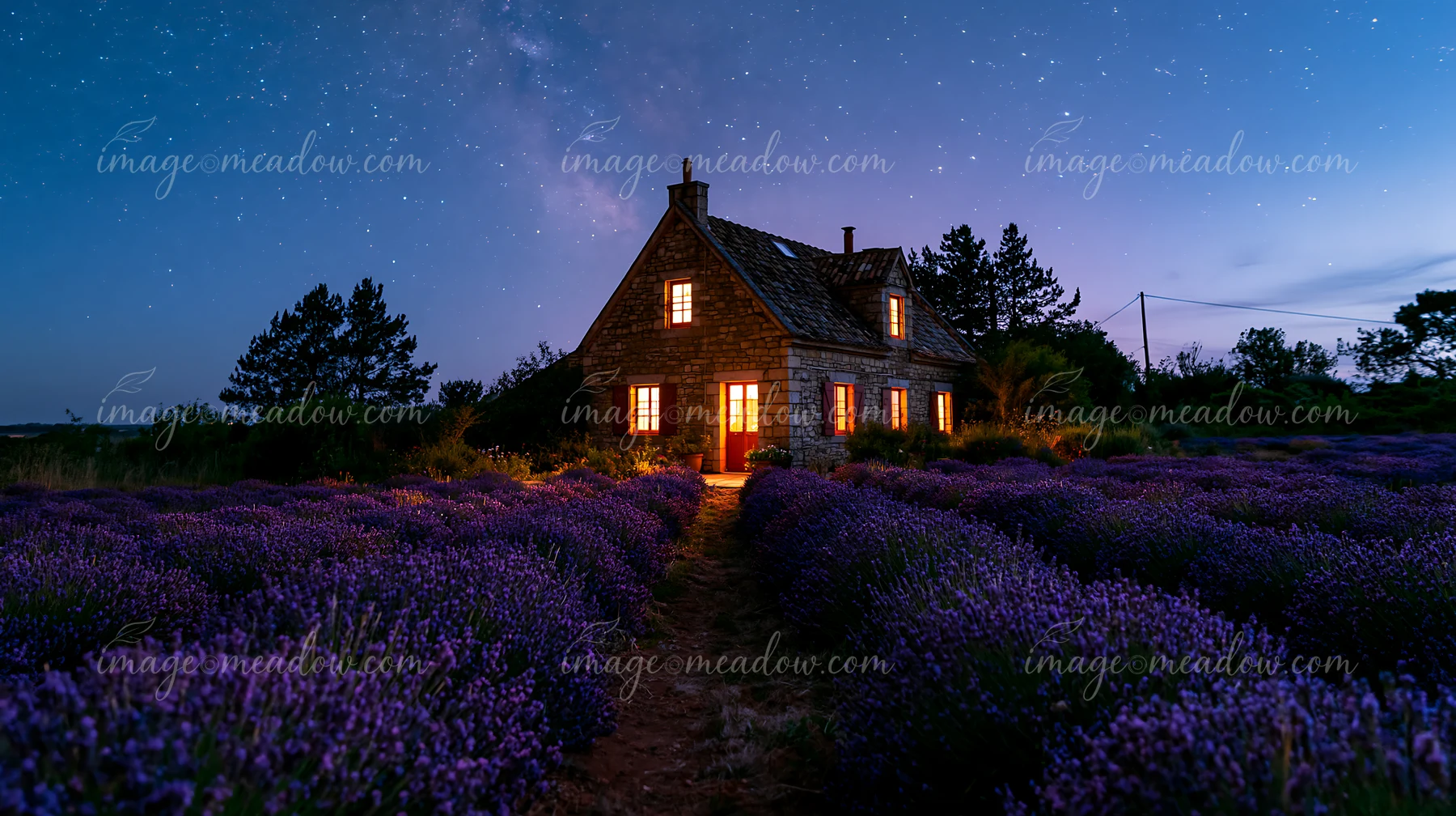 A country house stands amid lavender fields at night with bright windows.