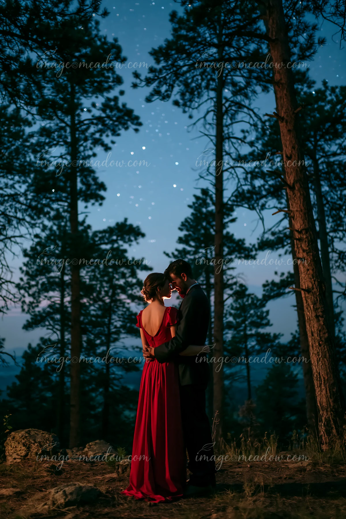 A couple embracing under a starry sky stands close together in a forest.