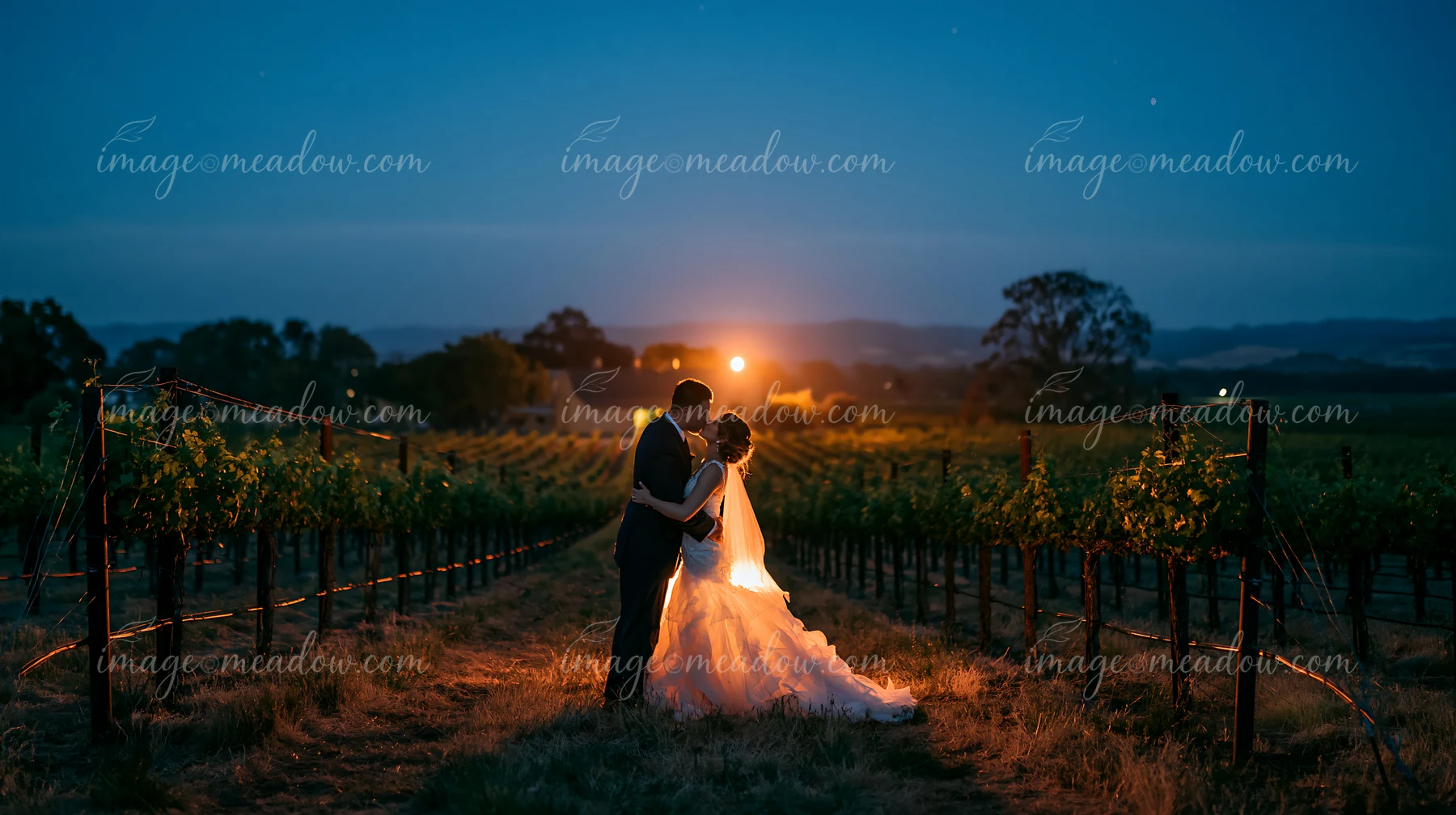 A couple kissing under a starry sky stands in a vineyard at night, surrounded by rows of grapevines.