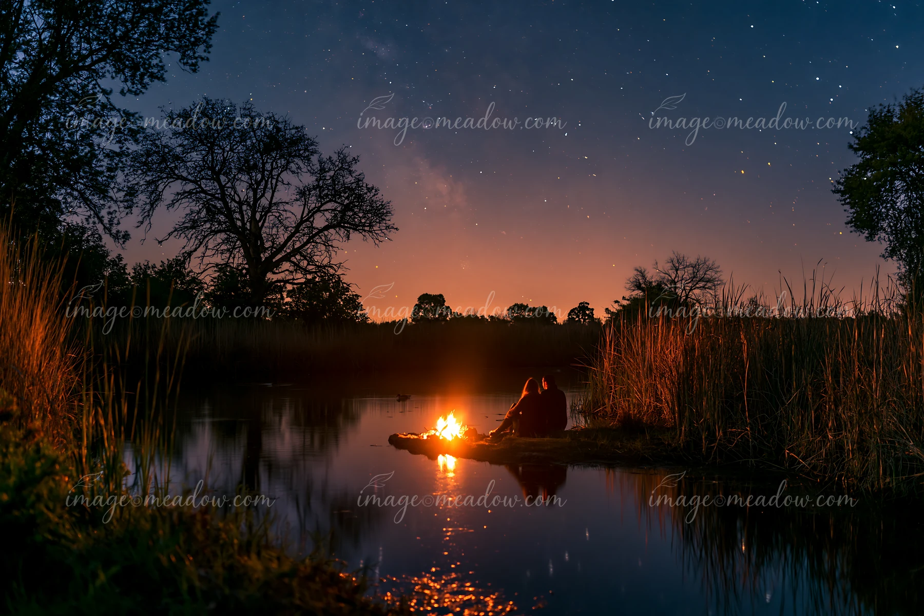 A couple sitting beside a glowing campfire under stars next to a calm water body surrounded by trees and tall grass, enjoying the warmth of the fire on a clear