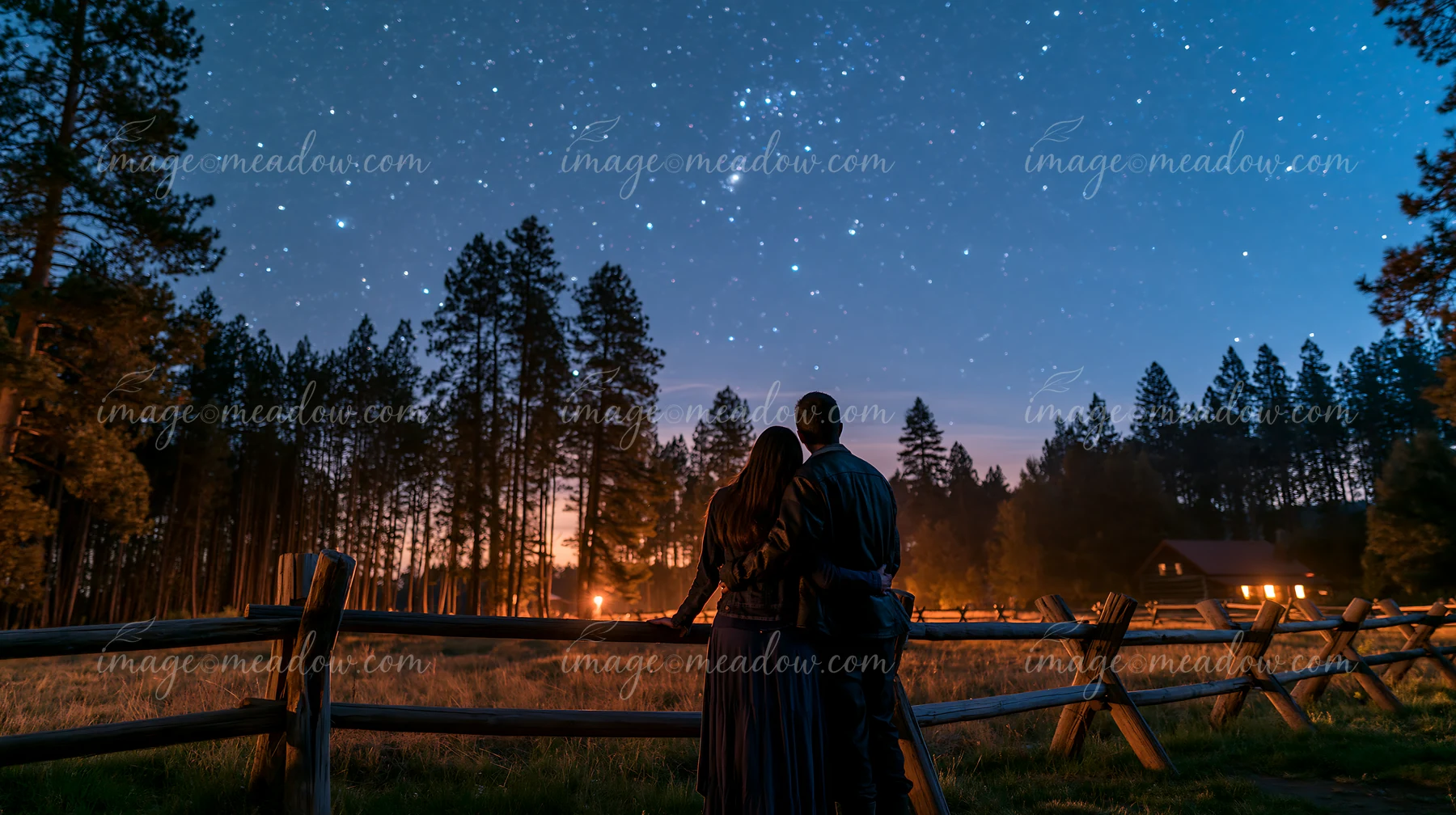 A couple stands embraced under a sky full of stars in a pine forest.