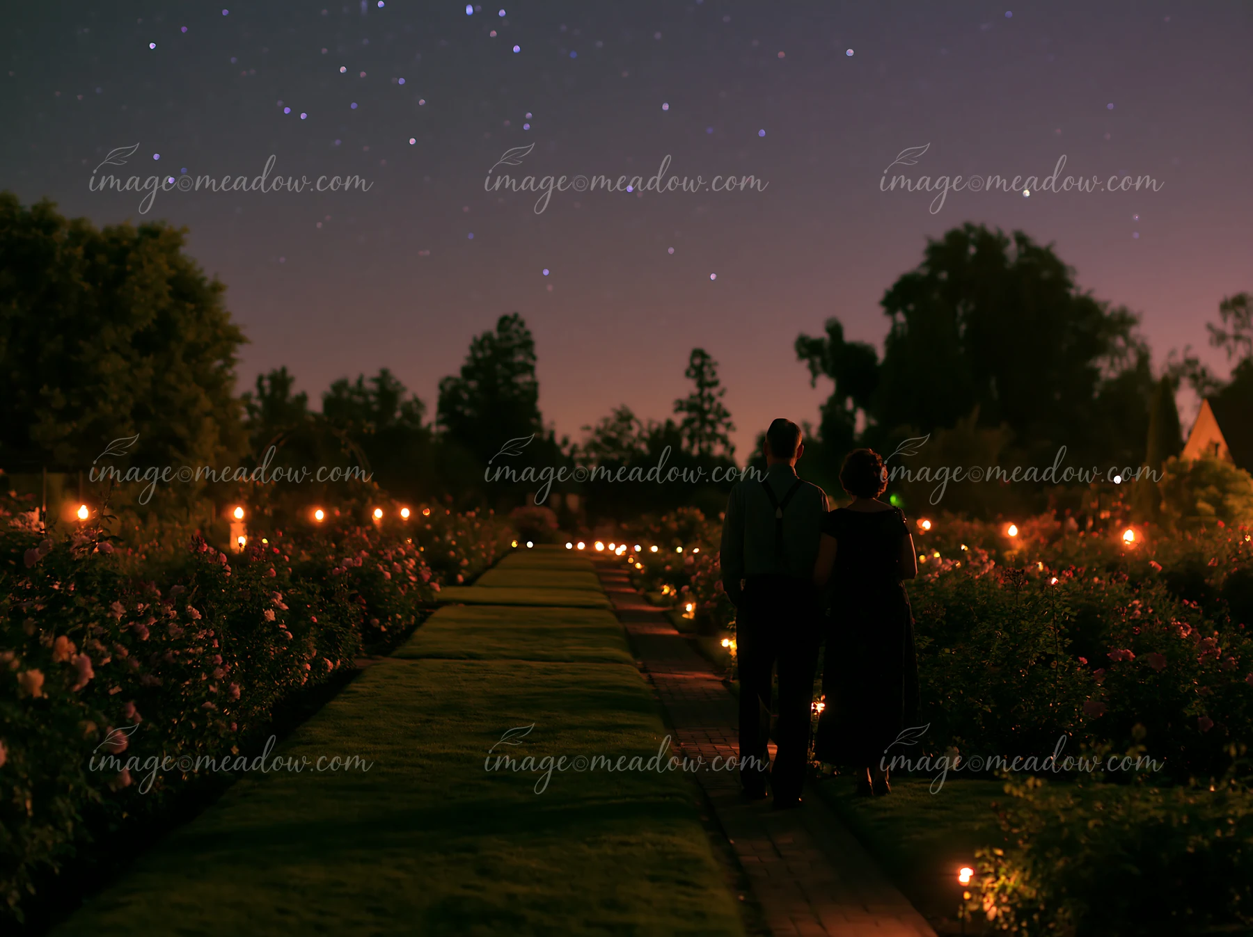 A couple walking away through rose garden under stars at night creates a romantic scene.