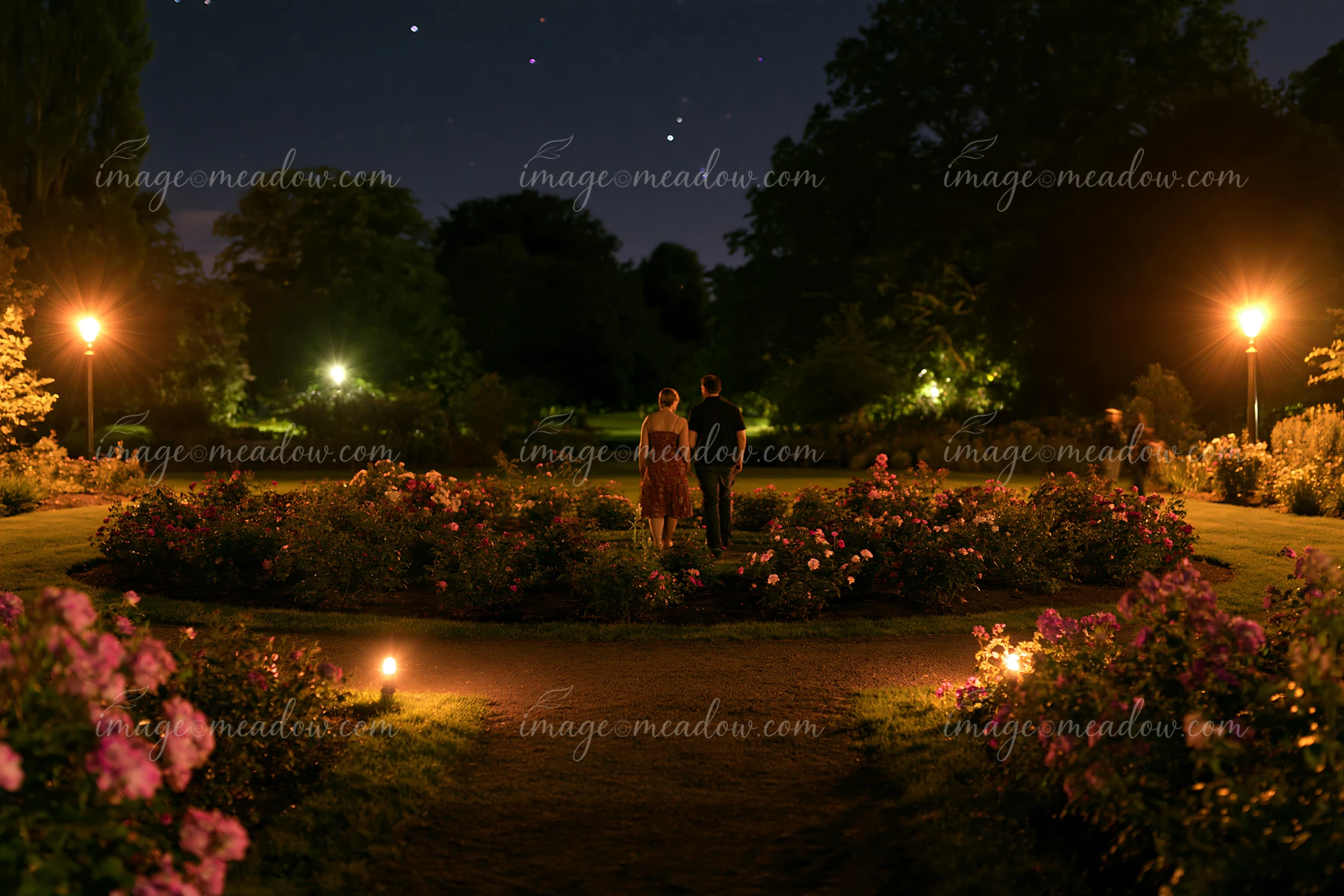 A couple walks away through a rose garden under stars at night.