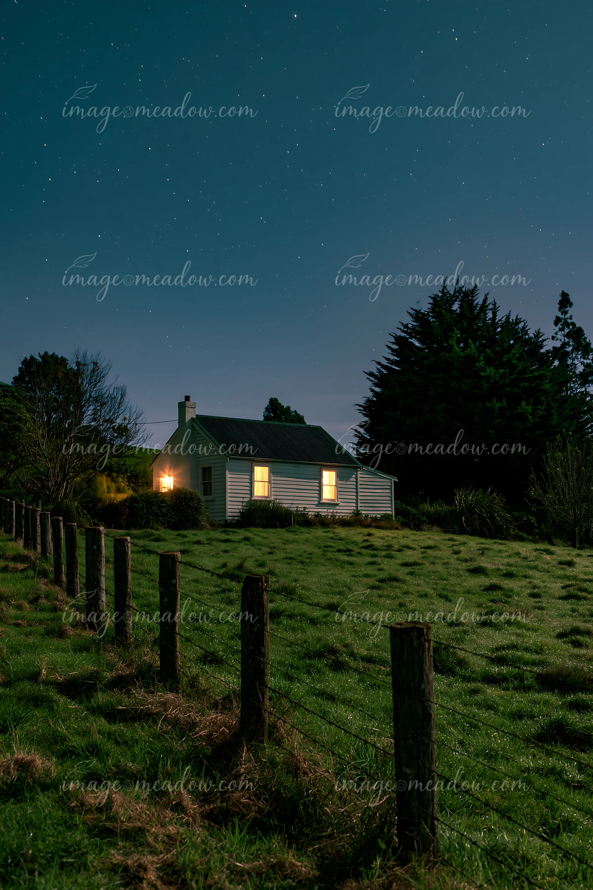 A cozy house in a meadow beneath stars stands surrounded by grass and trees.