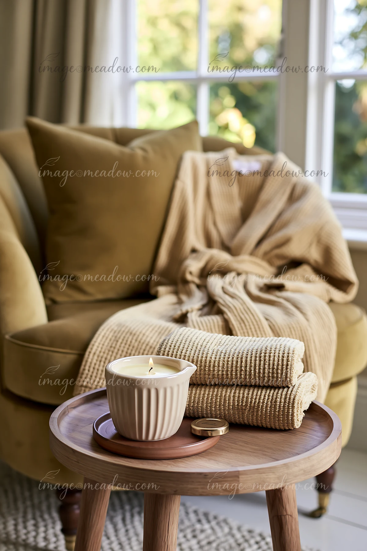 A cream dose beside a folded robe sits on a wooden table in a cozy living room.