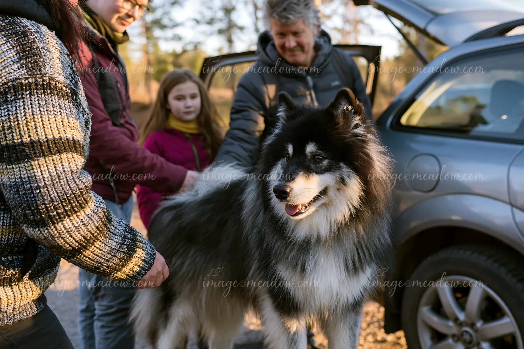 A family enjoys a day outdoors, interacting with their dog near a vehicle parked in a meadow beneath an oak tree.