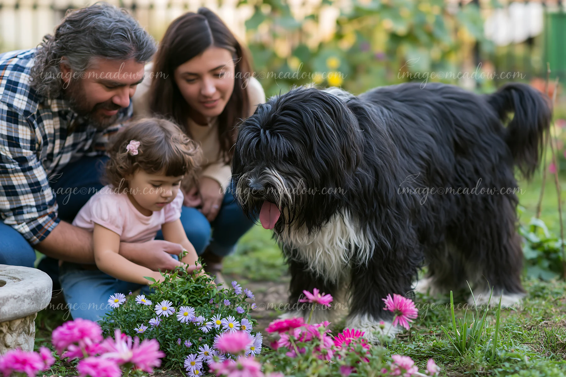 A family interacts with a rare dog breed in a garden filled with flowers.