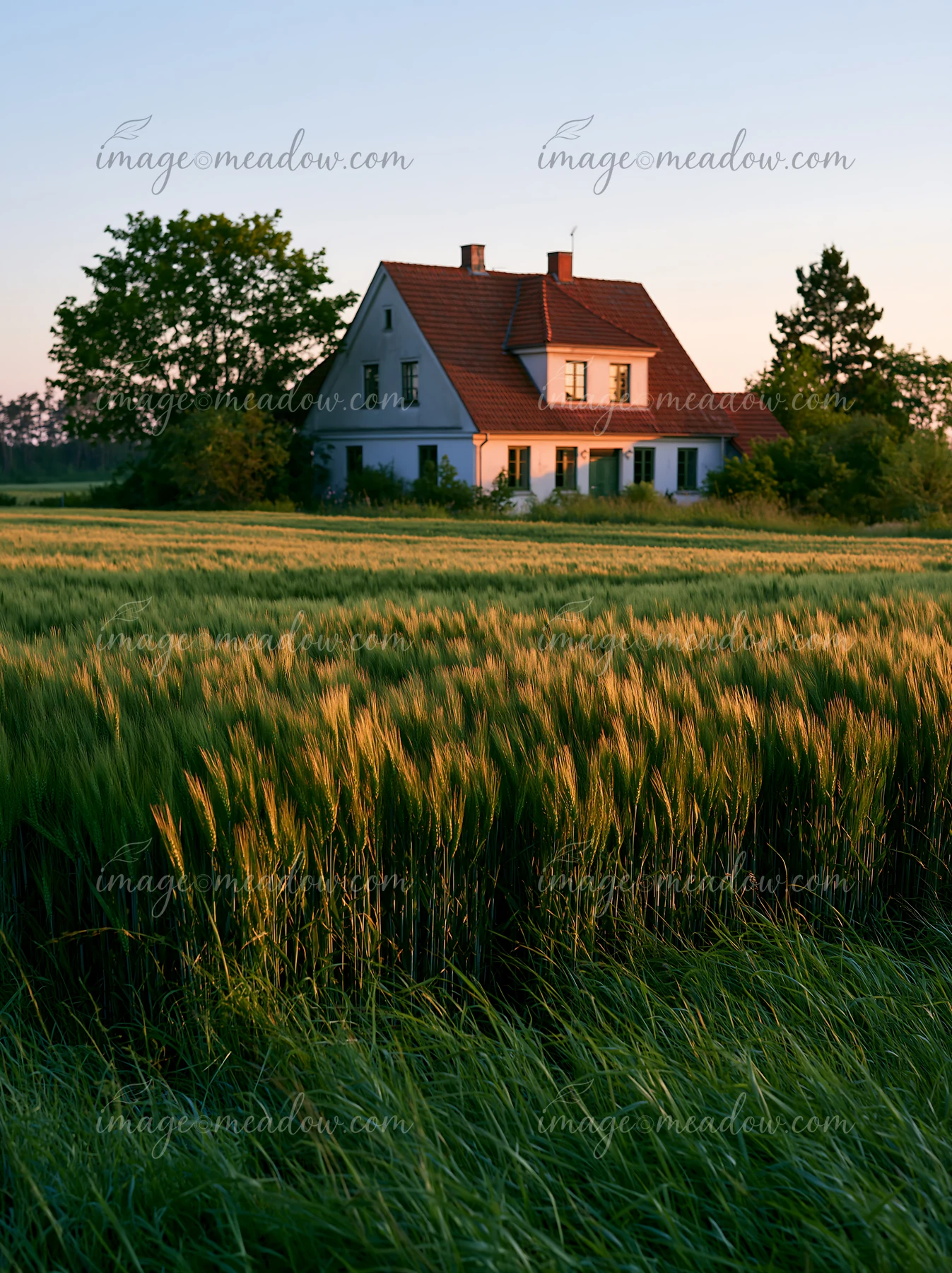 A farmhouse among green fields stands surrounded by crops and trees at sunset.