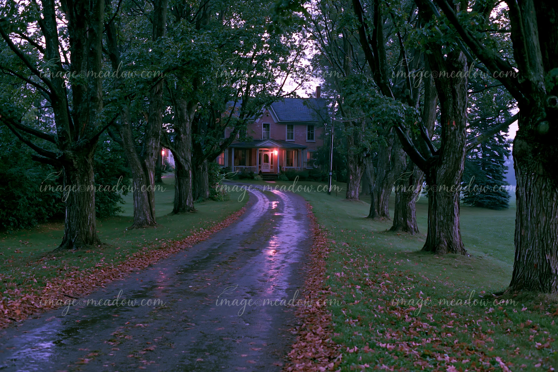 A farmhouse driveway lined with trees guides visitors to a classic home.
