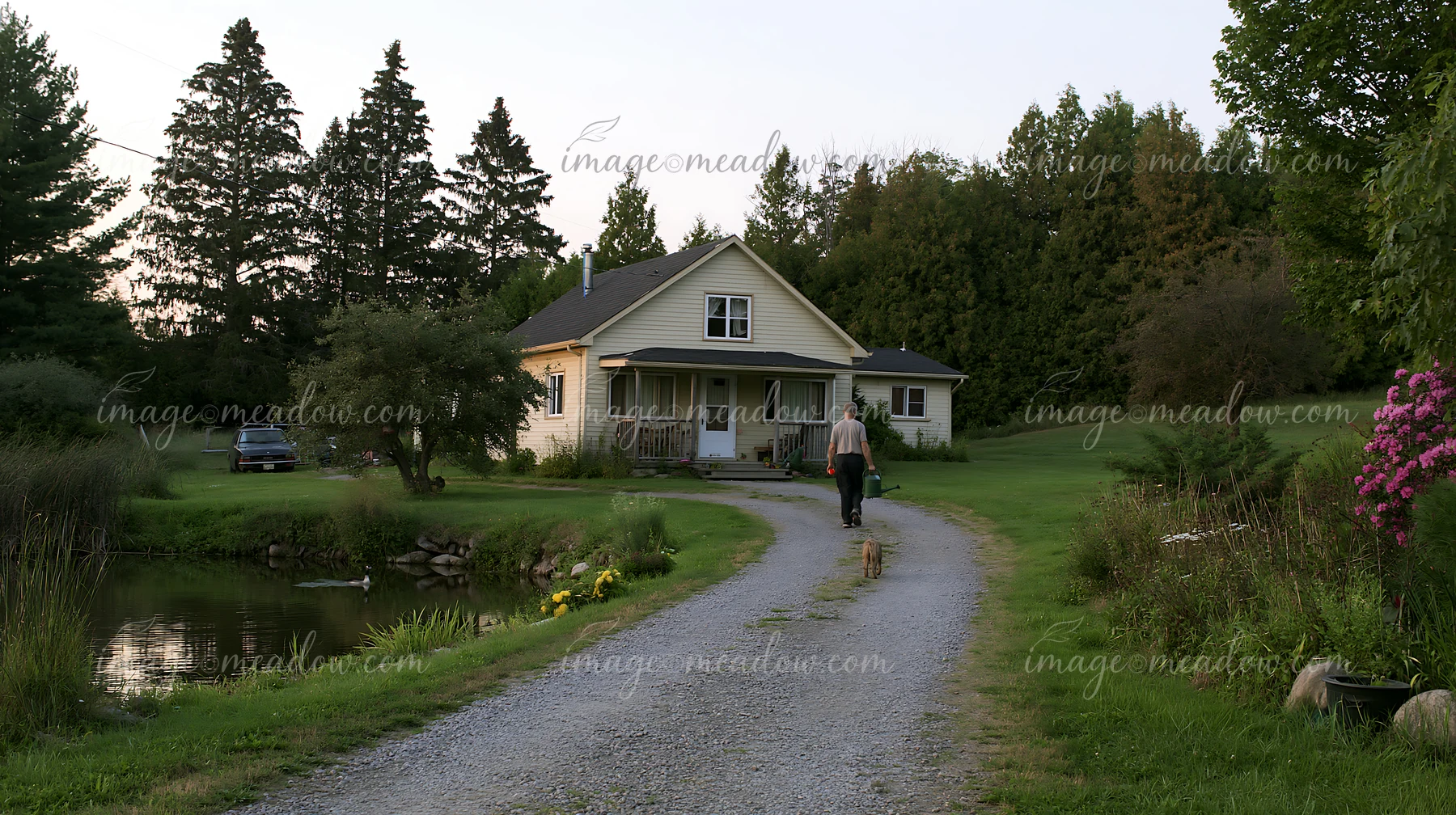 A gravel driveway leads to a country house surrounded by trees and a small pond.