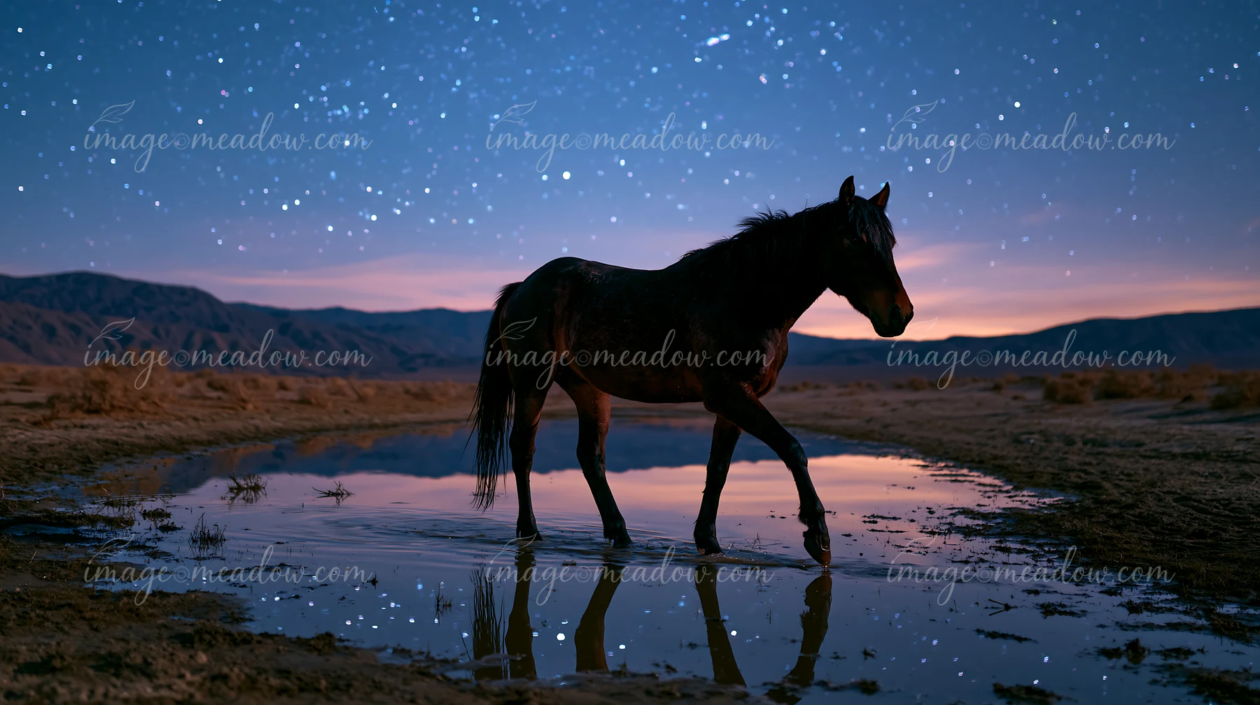 A horse in a starlit desert walks through shallow water, reflecting the night sky.
