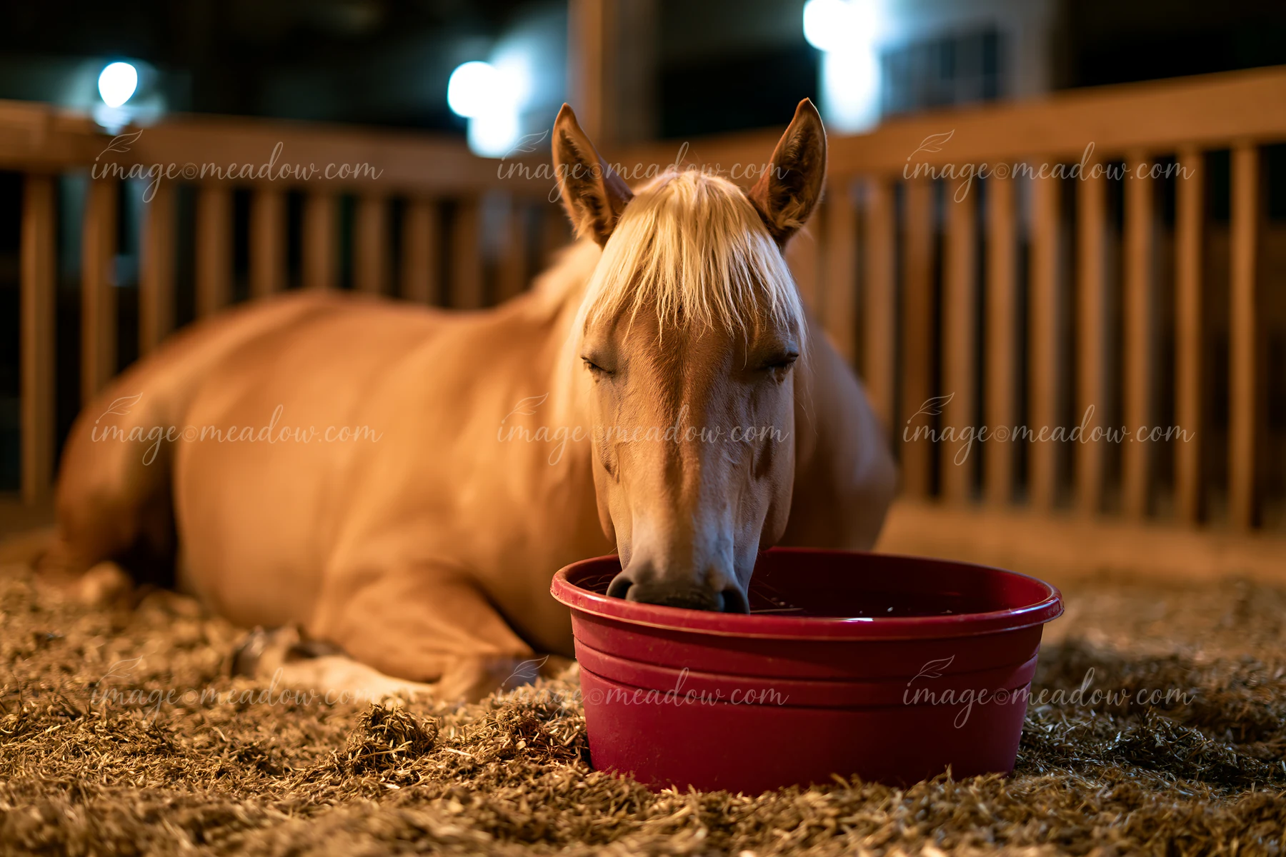 A horse is resting on straw in a stall while eating from a bowl.