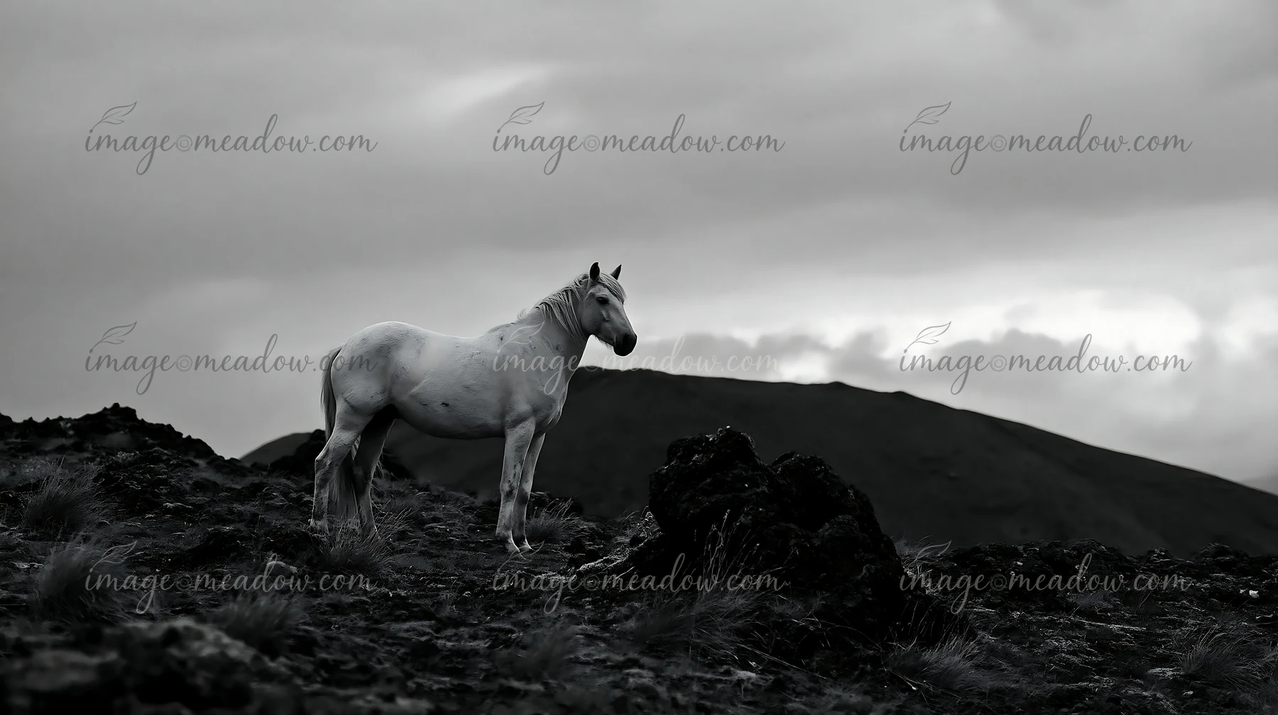 A horse on a dark mountain ridge gazes into the distance as clouds drift across the sky.