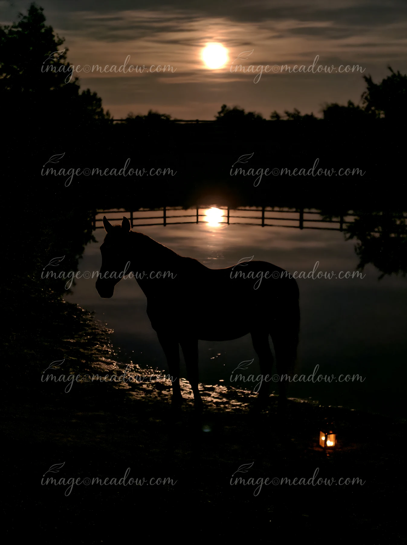 A horse silhouette beneath a full moon stands near a water body.