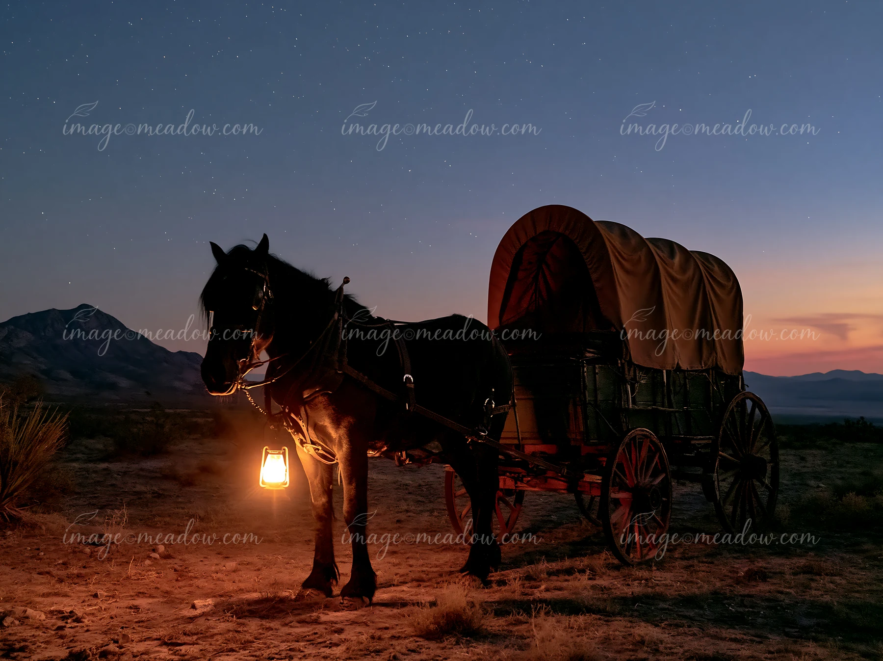 A horse stands beside a wagon in a starlit desert at dusk, illuminated by a lantern.