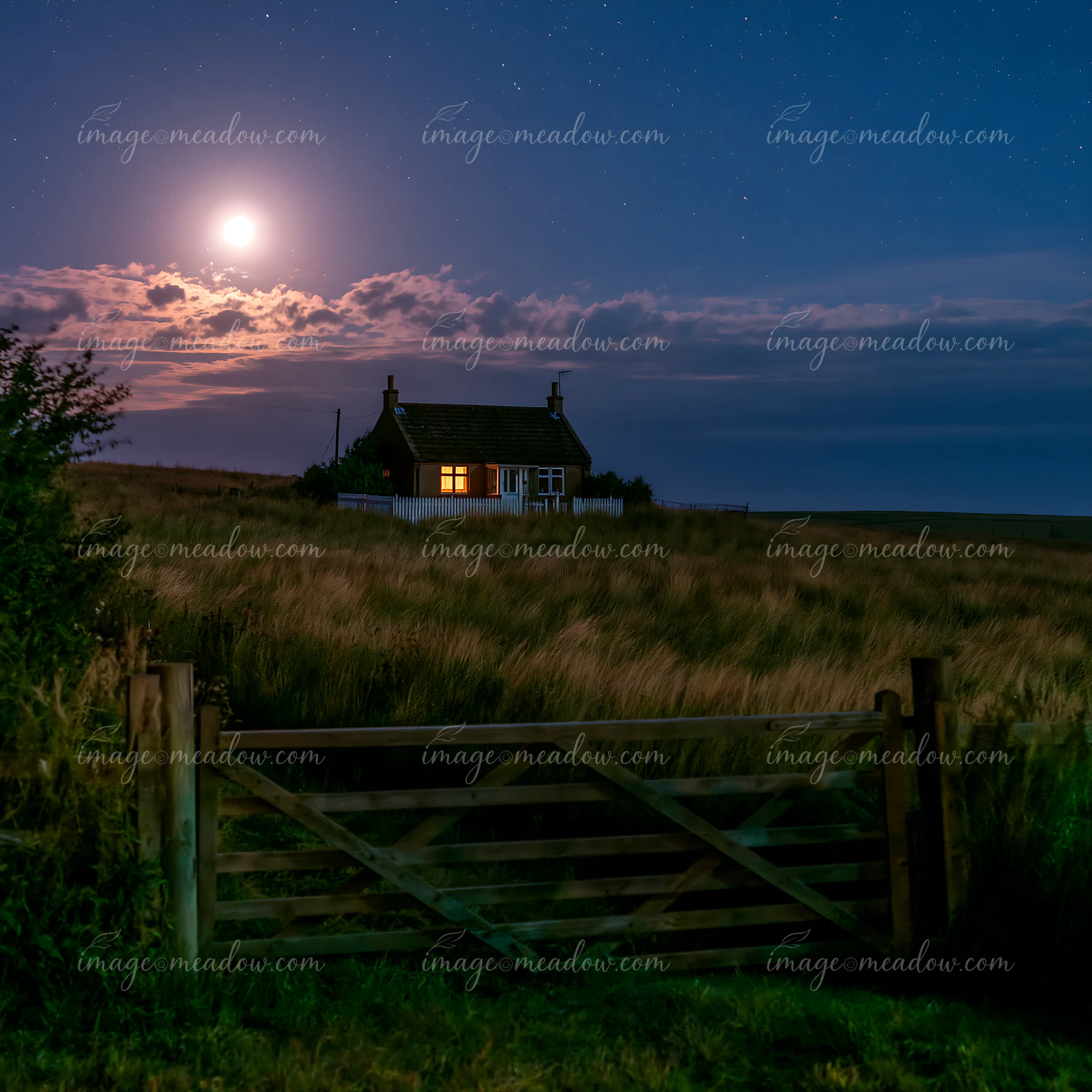A house sits alone in a field, illuminated by the light of a full moon and stars.