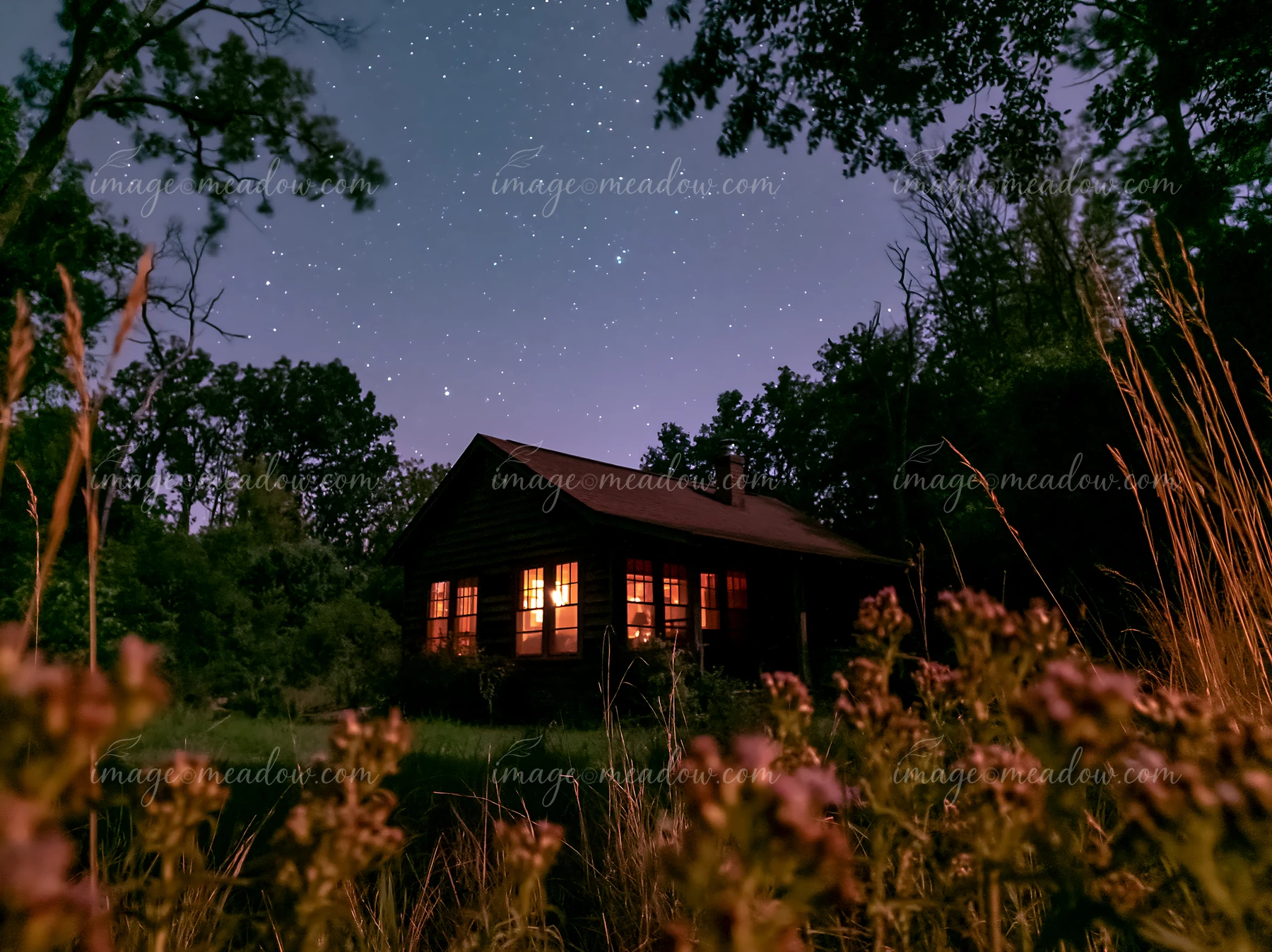A house sits under a starry sky with wildflowers in the foreground.