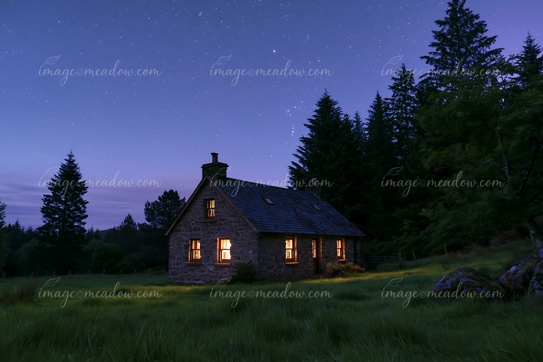 A house stands in a grassy meadow under a sky filled with stars.
