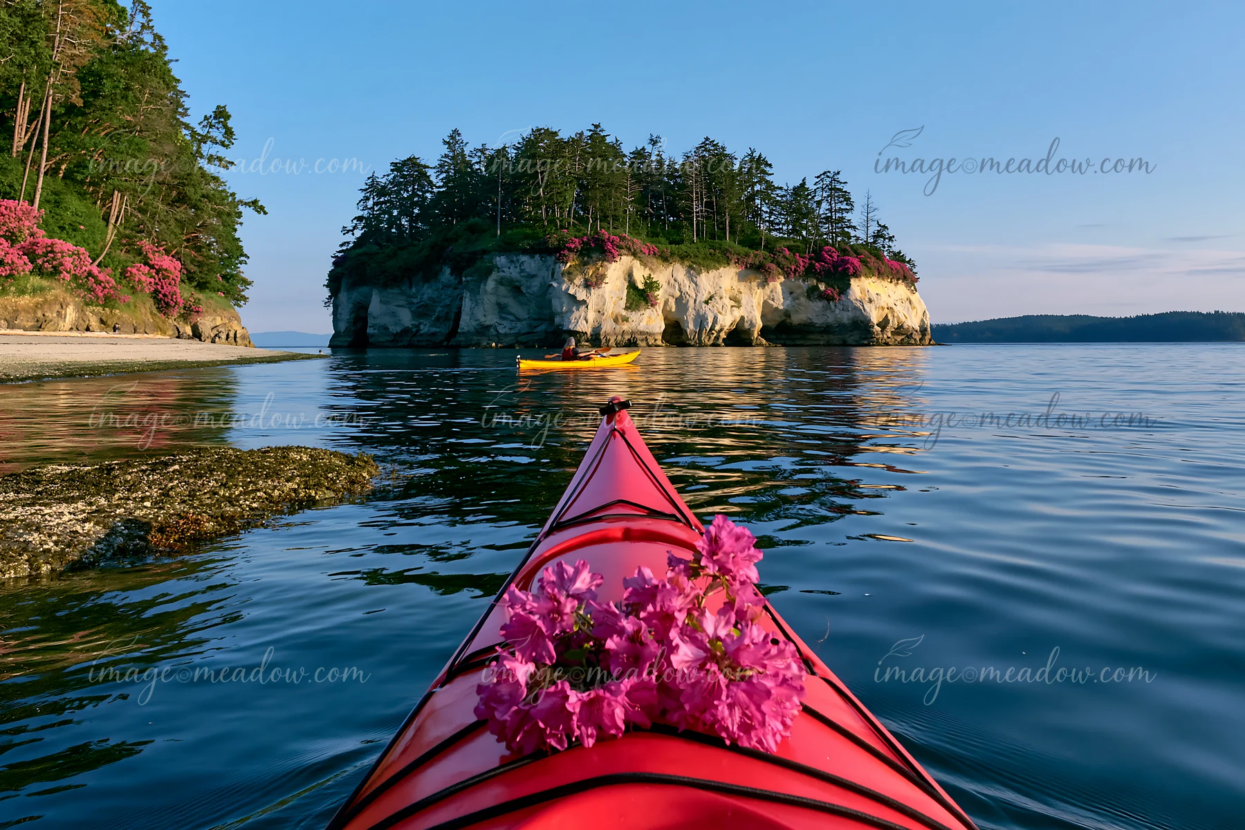 A kayak glides on smooth water, with vibrant flowers decorating an island with white cliffs in the background.
